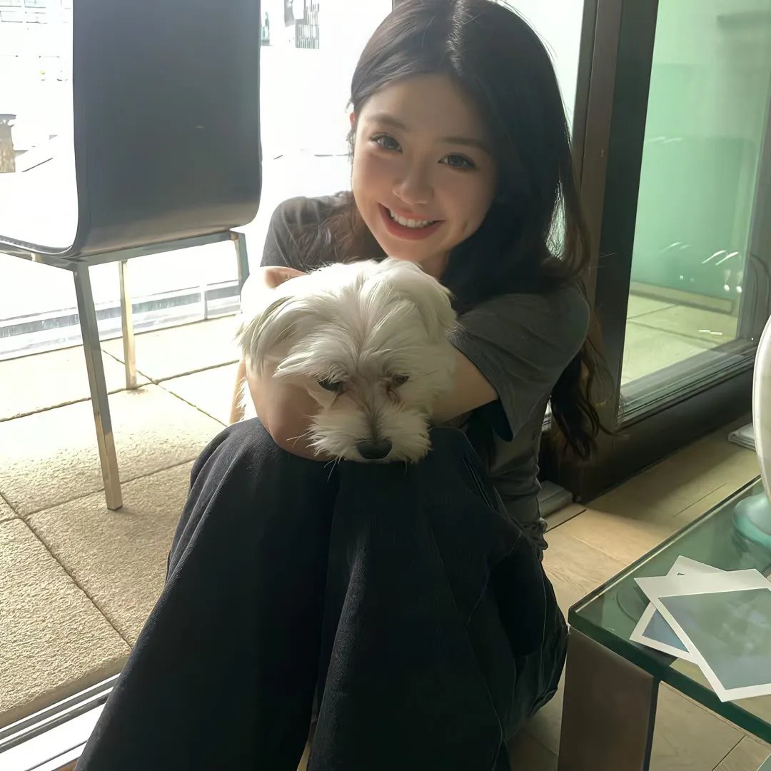 第二十条之无罪释放